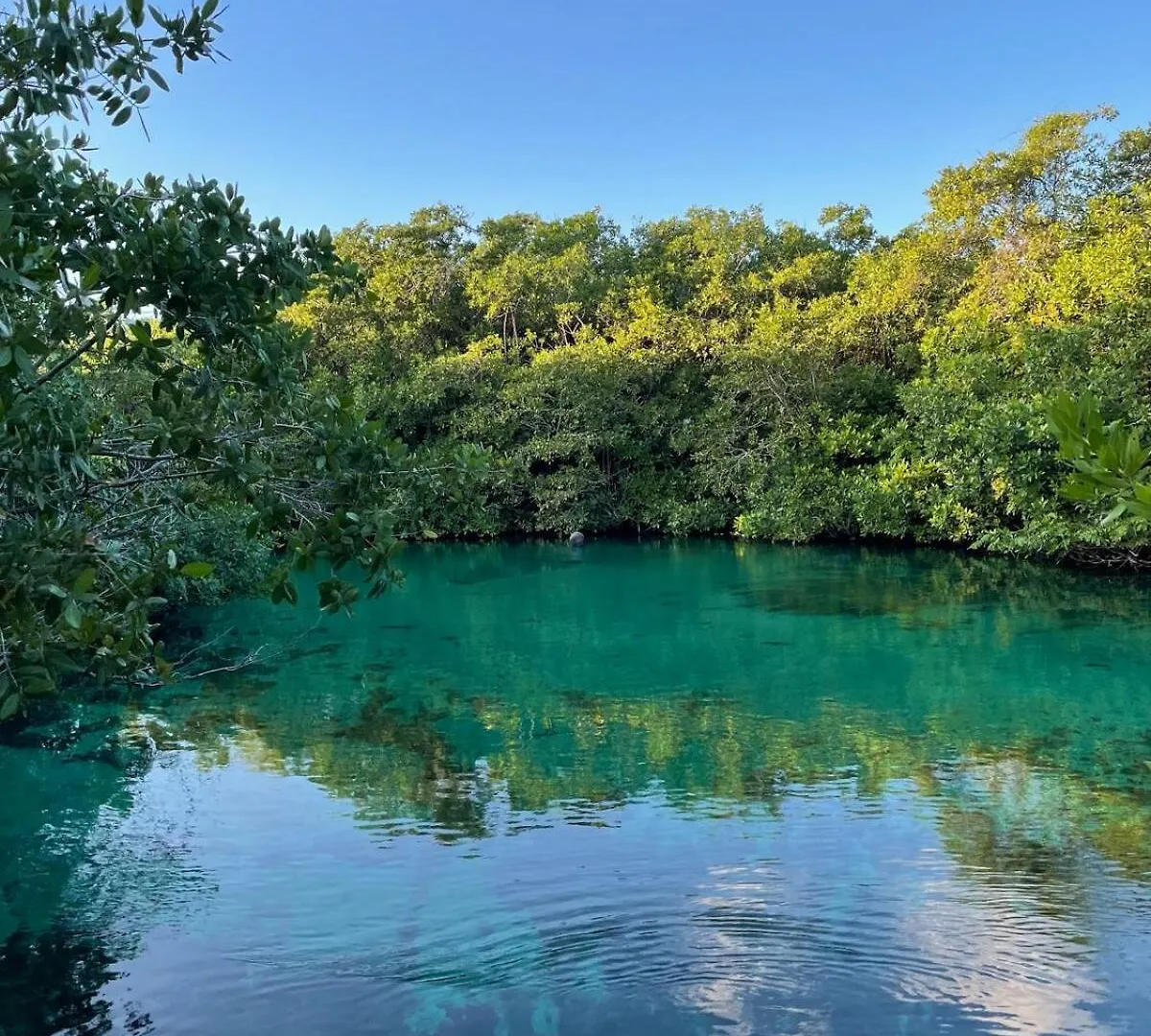 Appartement Tankah Bay Jungle Condominium With Sea Access 2 Bdr Tulum Pueblo