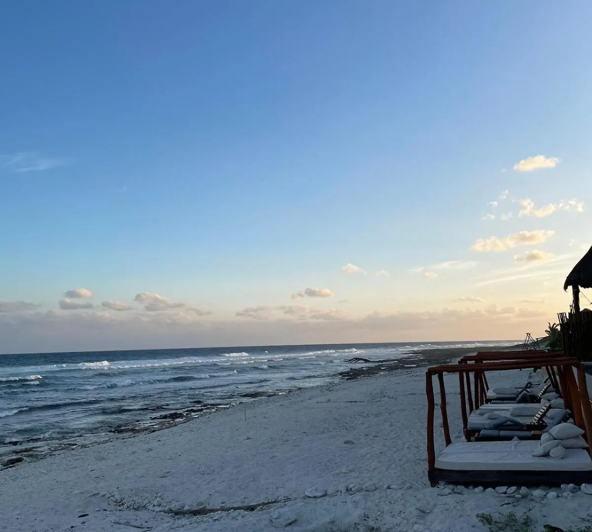 Tankah Bay Jungle Condominium With Sea Access 2 Bdr Tulum Pueblo